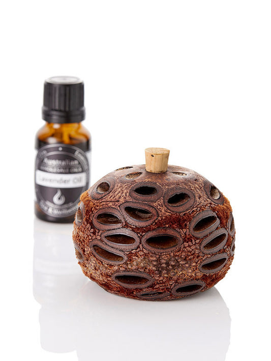 Banksia Pod Diffuser
