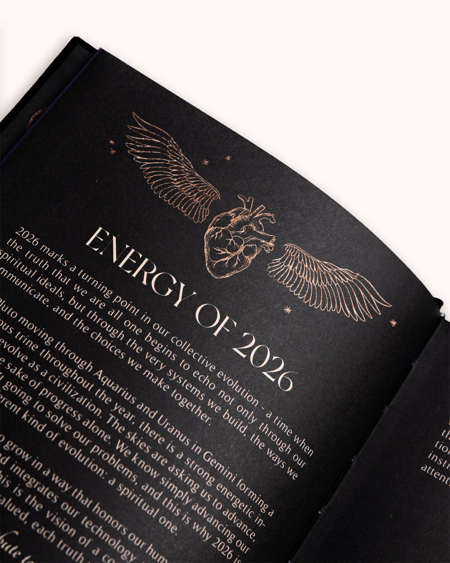 Dreamy Moons Year Of Growth 2026 Diary