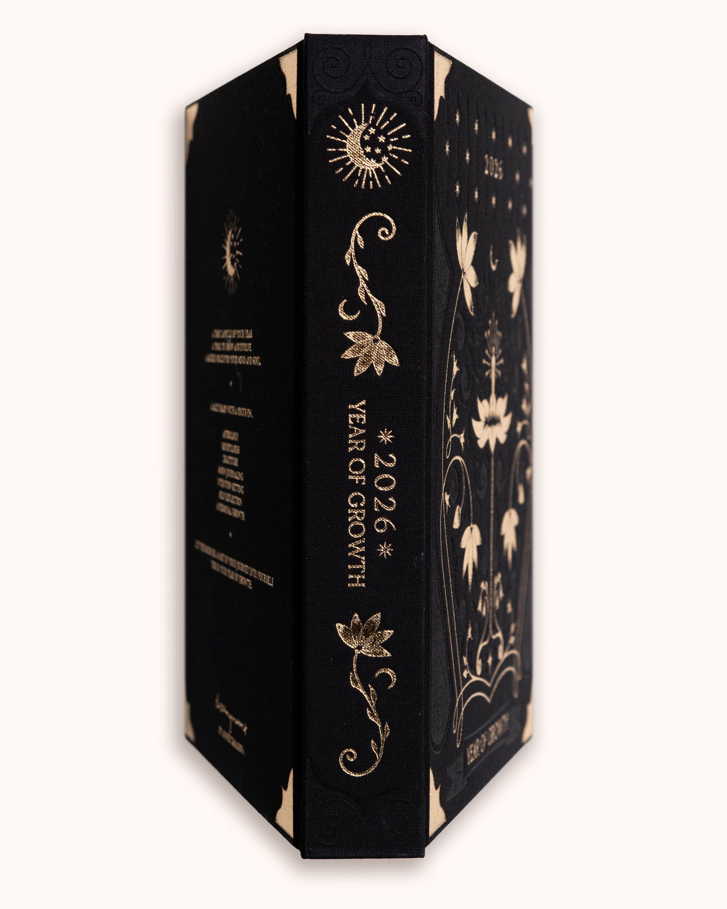 Dreamy Moons Year Of Growth 2026 Diary