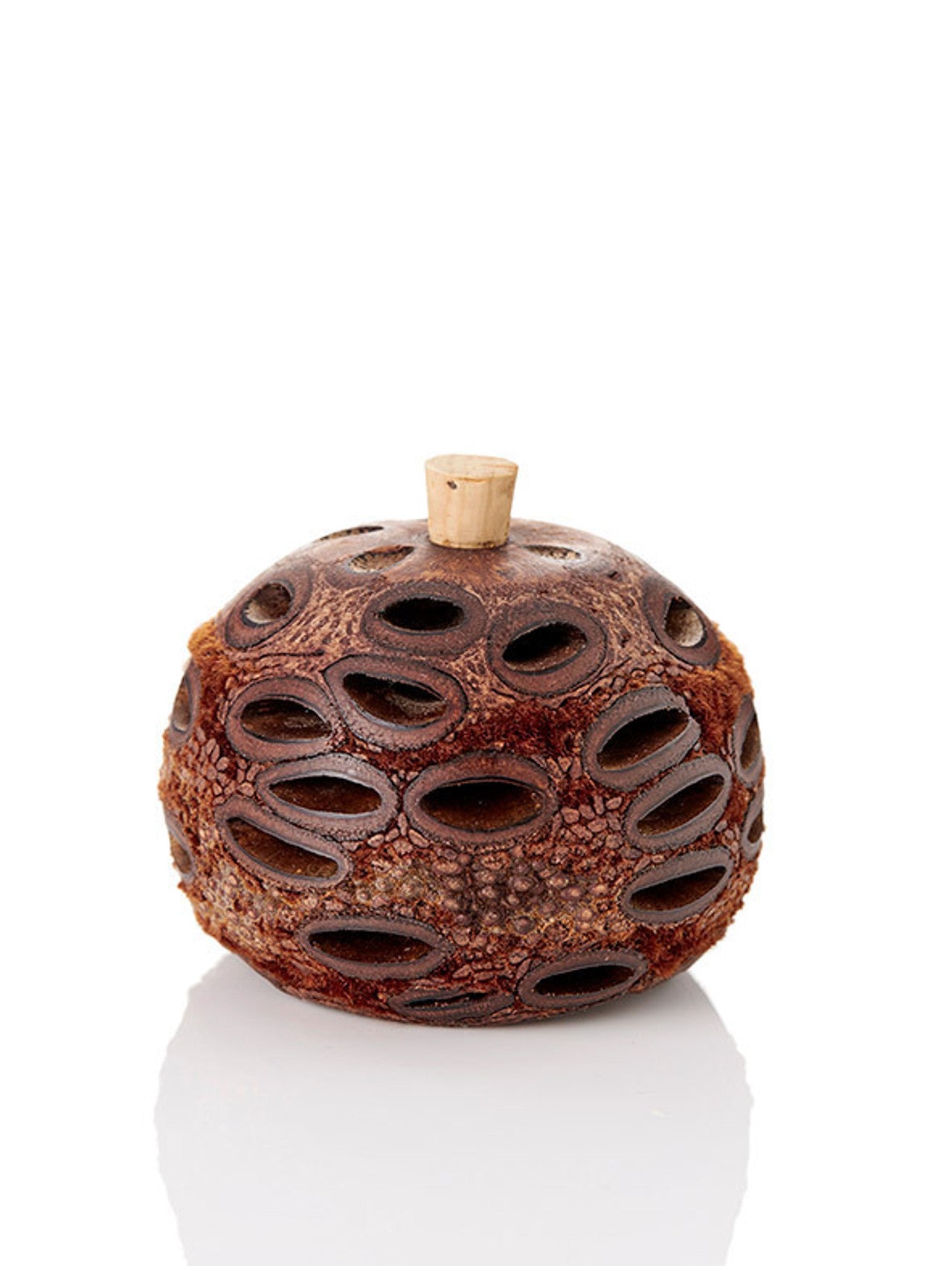 Banksia Pod Diffuser